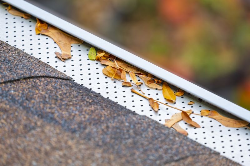 Gutter Protection Systems